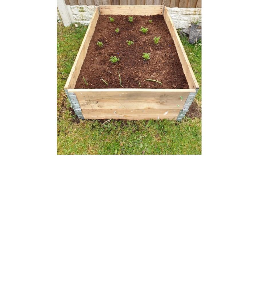 Carré potager - Copie Carré potager - Copie